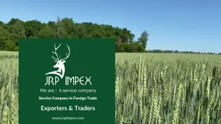 JRP impex Exporters & Traders