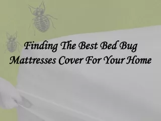 Finding The Best Bed Bug Mattresses Cover For Your Home