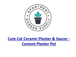 Cute Cat Ceramic Planter & Saucer - Cement Planter Pot, Cement Pot, Cat Design P