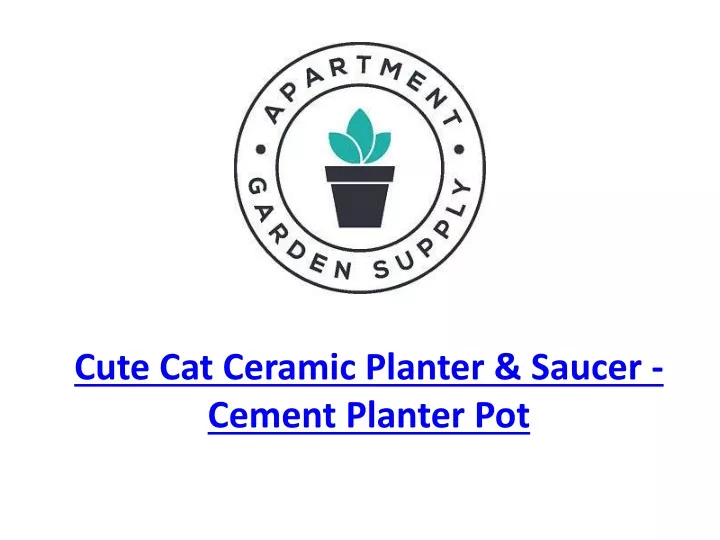 cute cat ceramic planter saucer cement planter pot