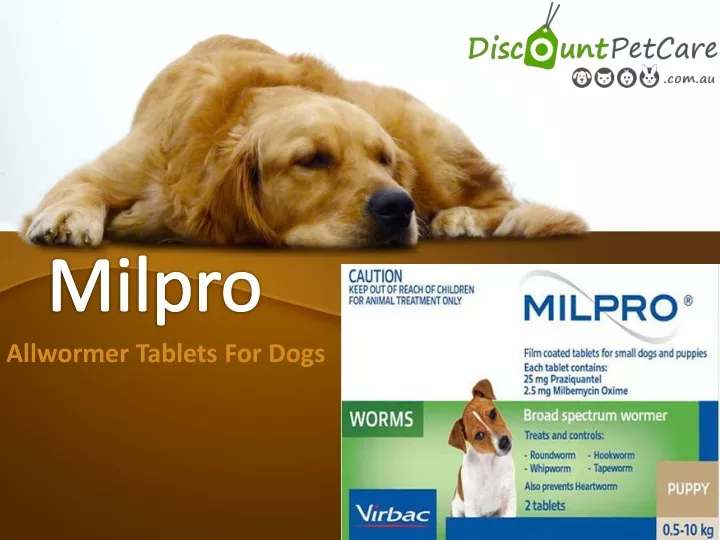 allwormer tablets for dogs