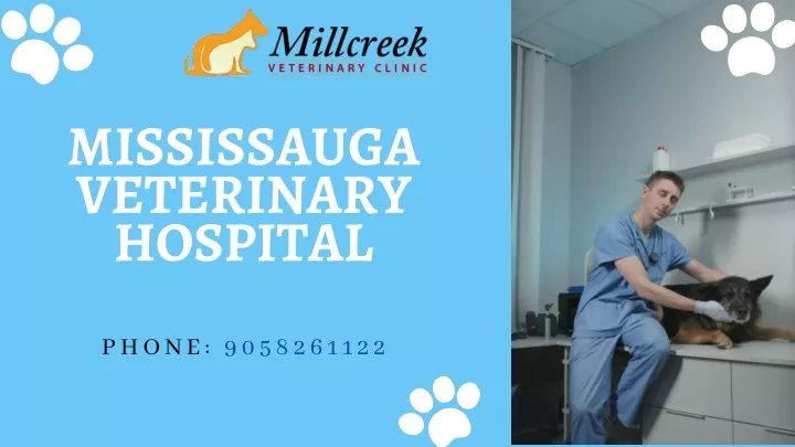 mississauga veterinary hospital phone 9058261122