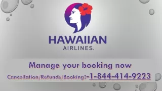 How do I Speak to a Live Person at Hawaiian Airlines?