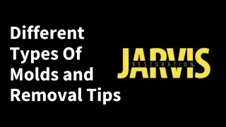 different types of molds and removal tips