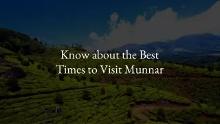 Know about the Best Times to Visit Munnar