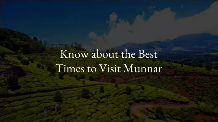 know about the best times to visit munnar