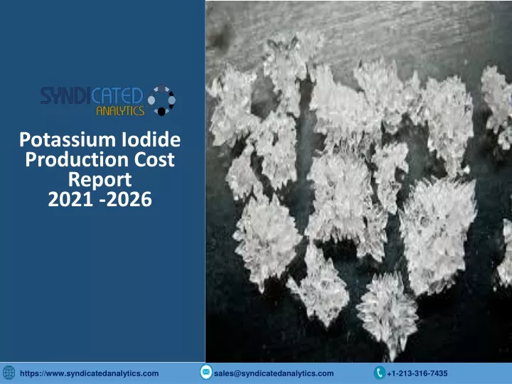 potassium iodide production cost report 2021 2026
