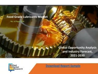 Food Grade Lubricants Market is Set to Develop New Growth Story by 2030