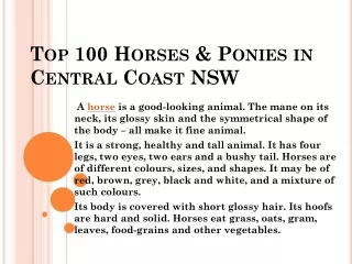 Top 100 Horses & Ponies in Central Coast