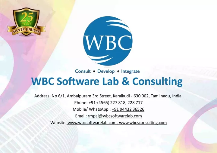 wbc software lab consulting