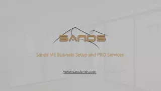 PRO services Dubai | Visa services in Dubai | Sandsme