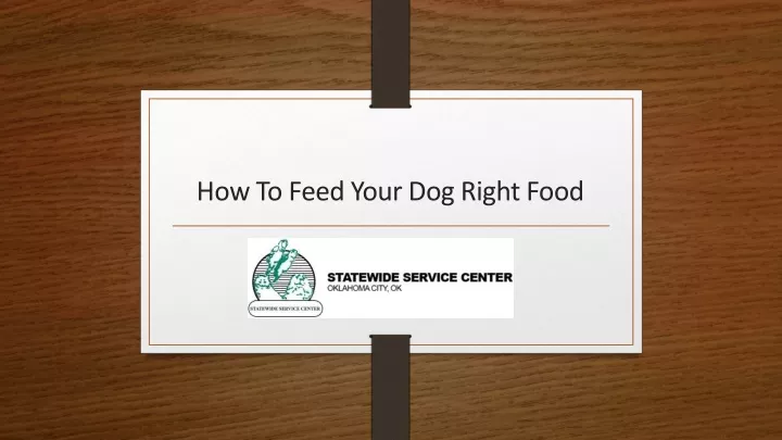 how to feed your dog right food