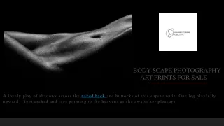 Body Scape Photography