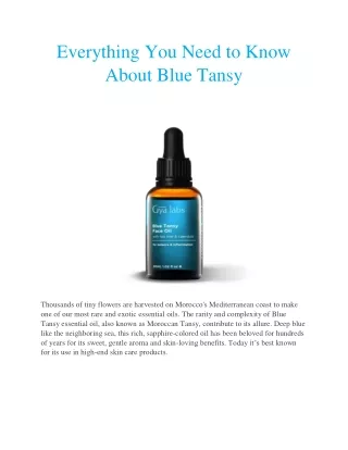 Everything You Need to Know About Blue Tansy