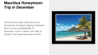 Mauritius Honeymoon Trip in December