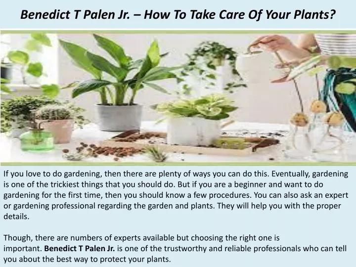 benedict t palen jr how to take care of your plants