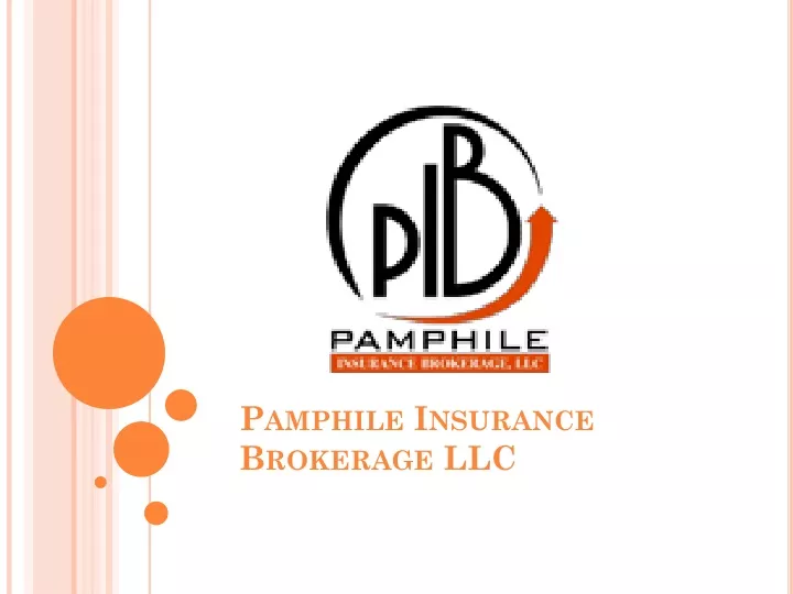 pamphile insurance brokerage llc