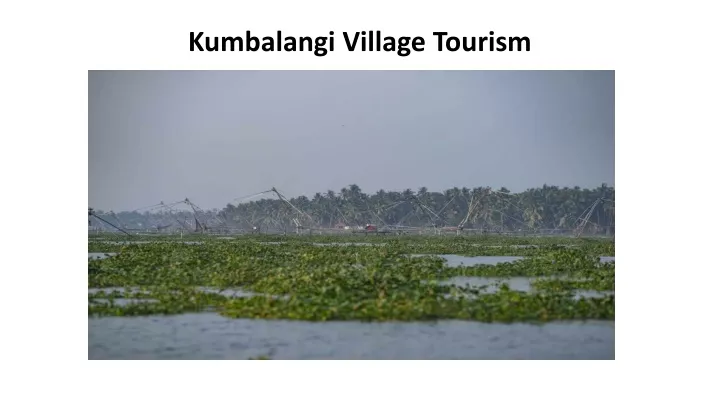 kumbalangi village tourism