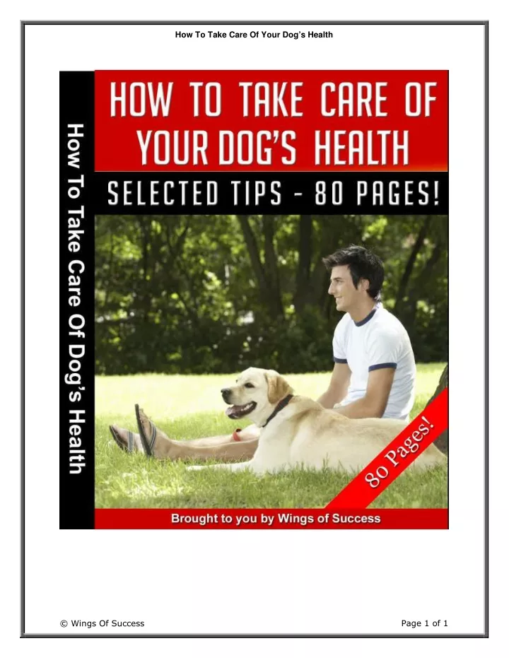 how to take care of your dog s health