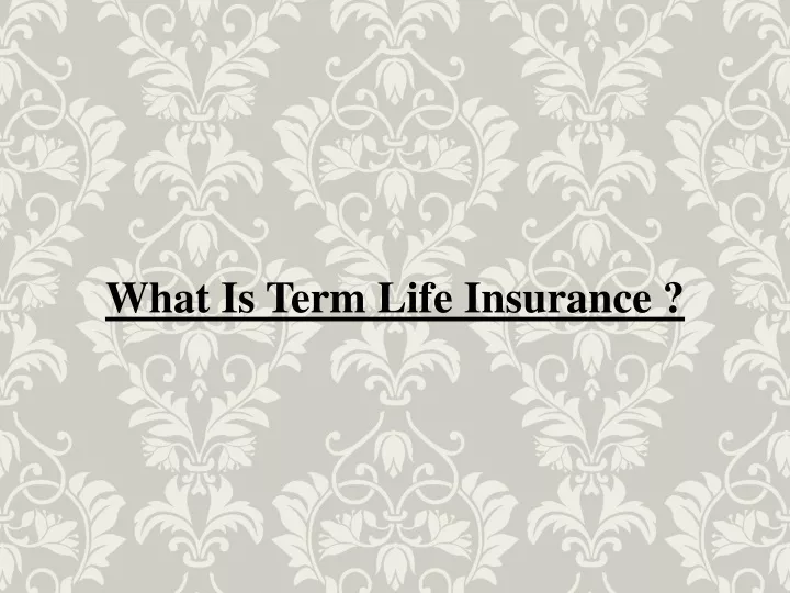 what is term life insurance