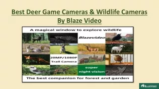 Best Deer Game Camera, Wildlife Camera By Blaze Video