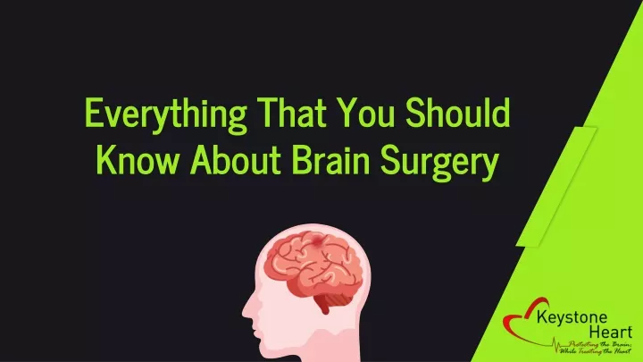 everything that you should know about brain