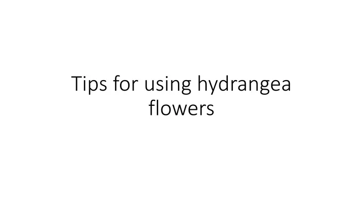 tips for using hydrangea flowers