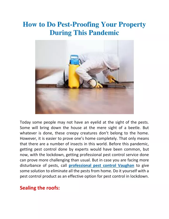 how to do pest proofing your property during this