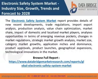 electronic safety system market industry size