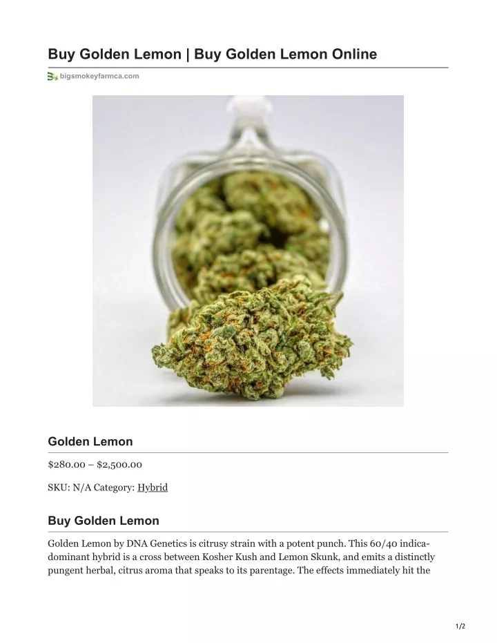 buy golden lemon buy golden lemon online