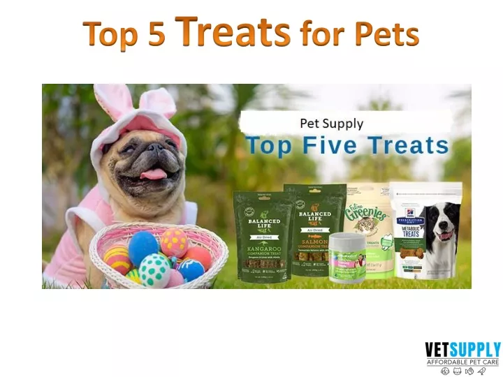 top 5 treats for pets