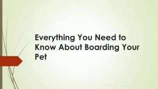 everything you need to know about boarding your pet