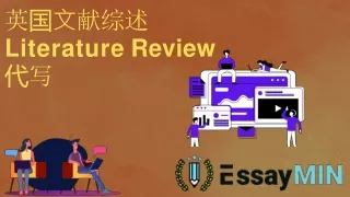 literature review