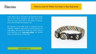 what to look for when you want to buy dog items