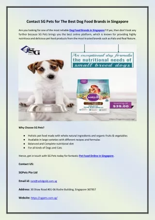 Contact SG Pets for The Best Dog Food Brands in Singapore