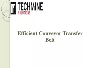 Efficient Conveyor Transfer Belt