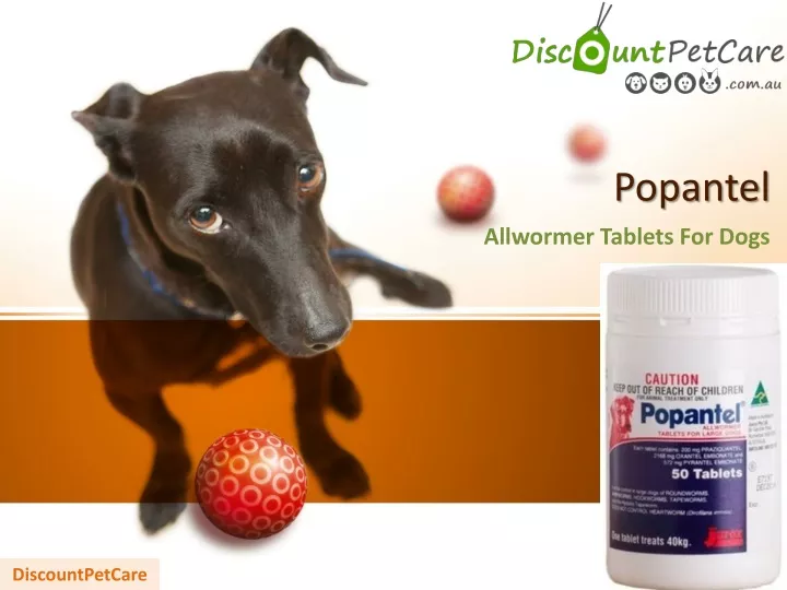 popantel all wormer tablets for dogs