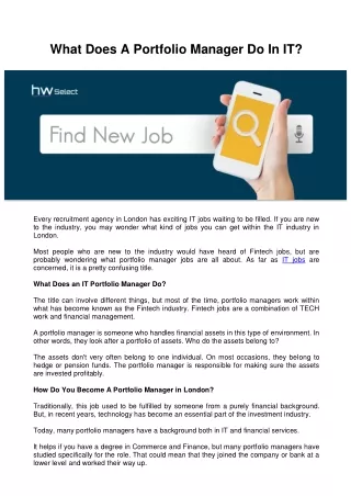 what does a portfolio manager do in it