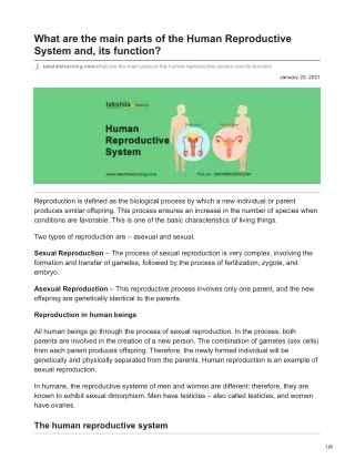 what are the main parts of the human reproductive