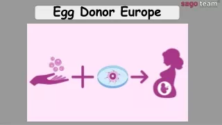 Best Egg Donor Clinic In Europe