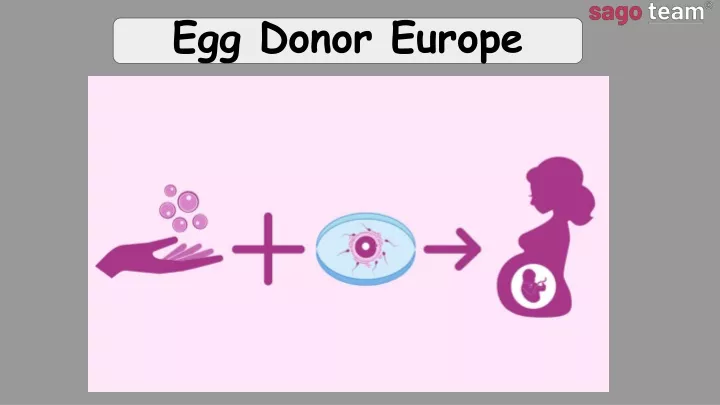 egg donor europe