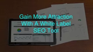 Increase Visibility With A White Label SEO Tool