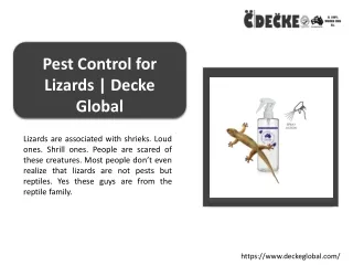 Use Effective Pest Control for Lizards | Decke Global