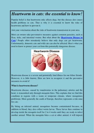 Heartworm in cats the essential to know!