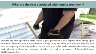 What are the risks associated with termite treatment