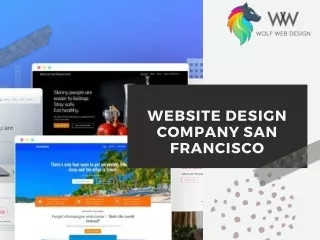 Professional Website Design Company San Francisco at Wolfweb.design