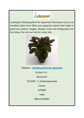 Floating Plants For Aquarium  Bunnycart.com