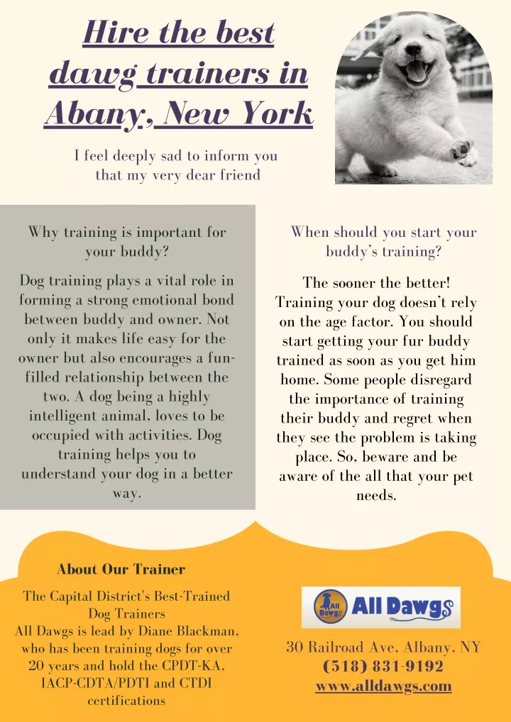 hire the best dawg trainers in abany new york