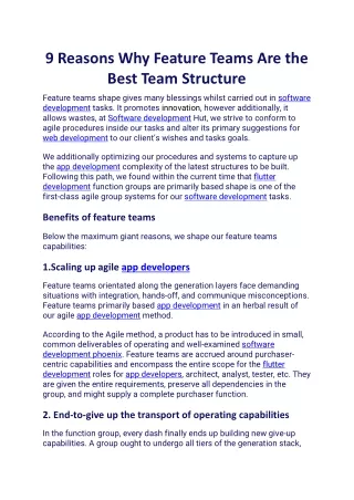 9 reasons why feature teams are the best team