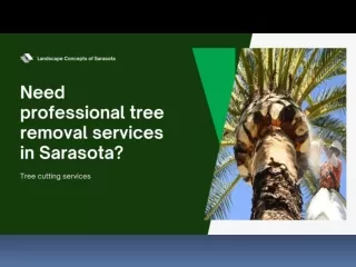 Need professional tree removal services in Sarasota?